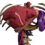 Cirugia 3D